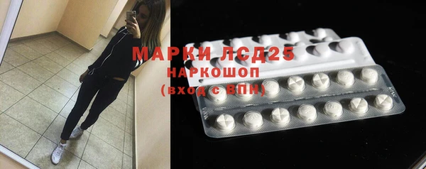 гашик Наволоки