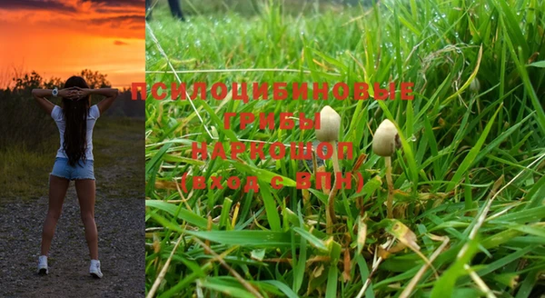 прущий лед Михайловка