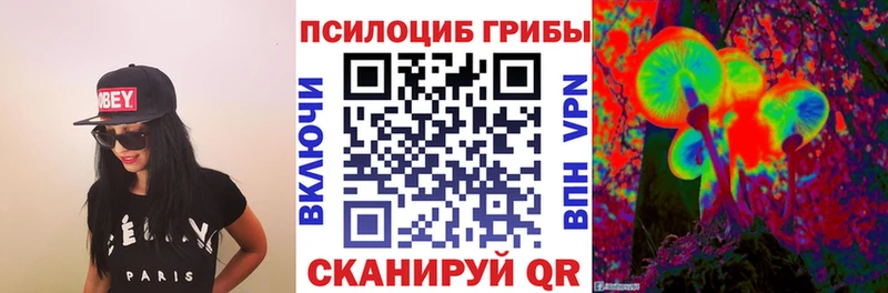купить наркоту  Медынь  Галлюциногенные грибы Psilocybine cubensis 